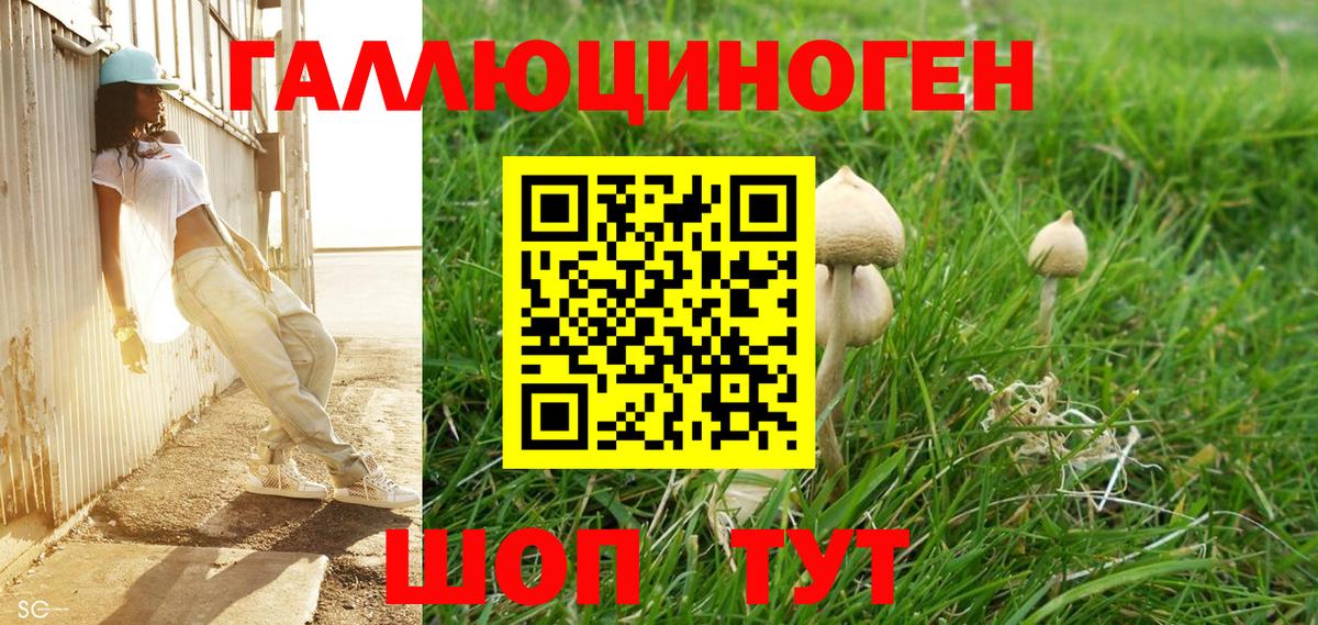 ГАШИШ  Кокаин  Бошки Шишки  Экстази  МЕТАМФЕТАМИН  Меф   Феодосия  МЕТАДОН  Вход с VPN 